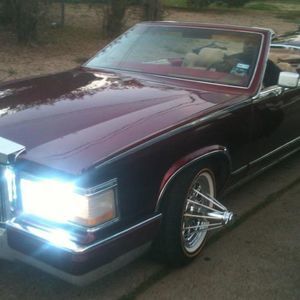 Meet your Posher, Alfred